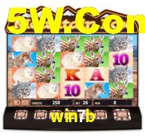 win7b,win7b.com